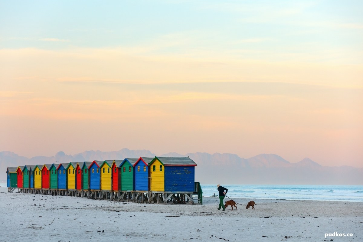 muizenberg beach cape town